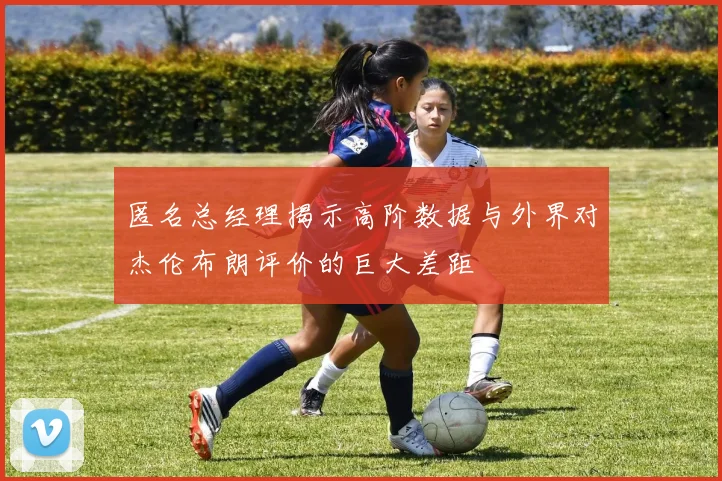 匿名总经理揭示高阶数据与外界对杰伦布朗评价的巨大差距