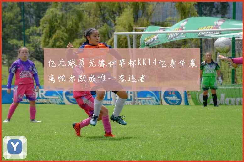 亿元球员无缘世界杯KK14亿身价最高帕尔默成唯一落选者
