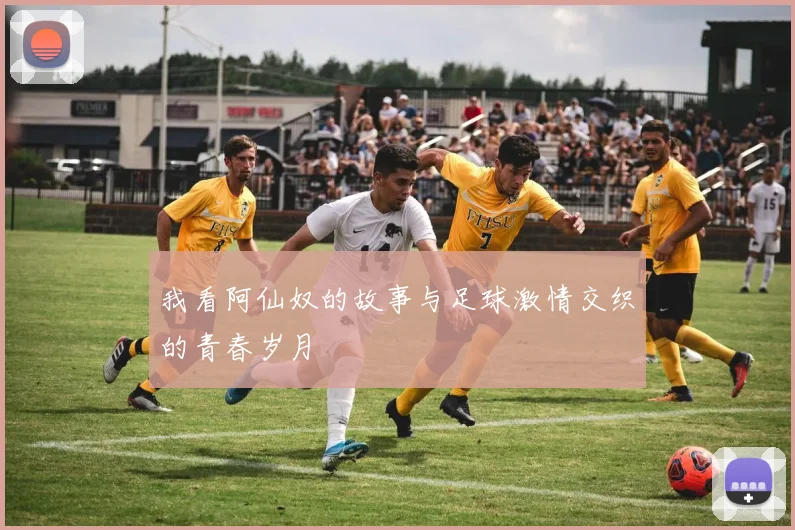我看阿仙奴的故事与足球激情交织的青春岁月