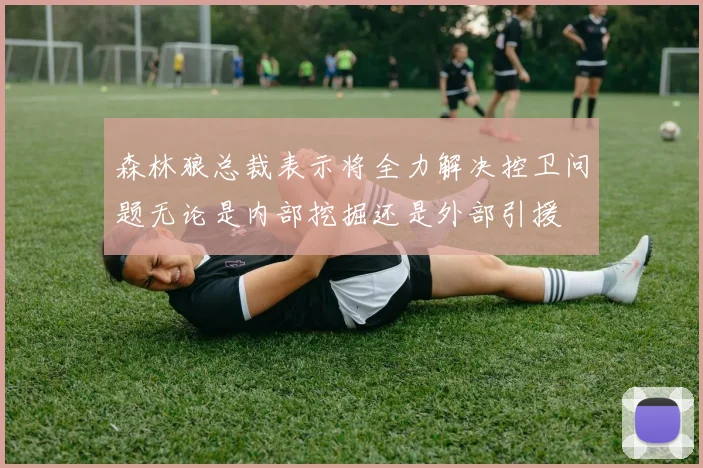 森林狼总裁表示将全力解决控卫问题无论是内部挖掘还是外部引援